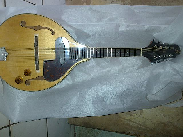 mandoline elektrik..monggo mampir
