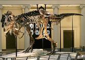 5 Museum Dinosaurus Paling Keren di Dunia