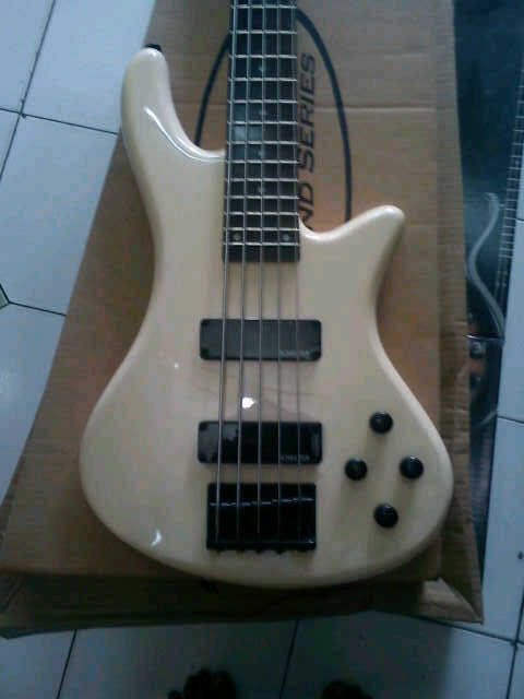 Jualan Bass Schecter stiletto extreme 5 dan Schecter Duluxe 5