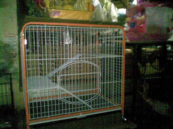 kandang kucing dan anjing termurah sekaskus