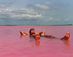 Cantiknya Danau Warna Pink yang Misterius di Australia