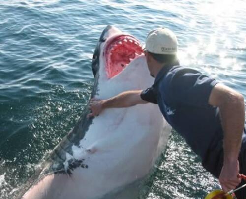 10 Foto Seram Yang Diambil Penuh Risiko