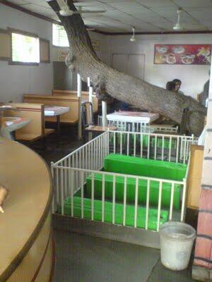Restoran Ini Ada Di Tengah Kuburan, Gan!