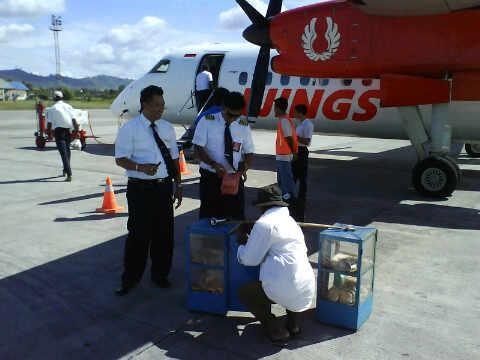 Pilot Lapar Banget