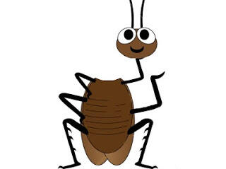 [B]Rahasia dibalik Seekor Kecoa[/B]