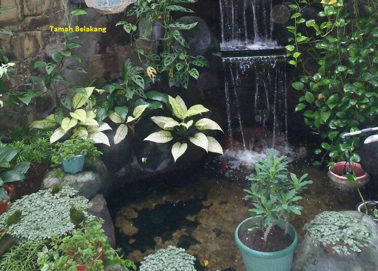 Rumah Lux Dijual BU