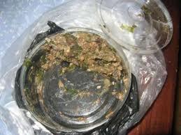 Daun Bungkus Asli Papua ( Racikan )