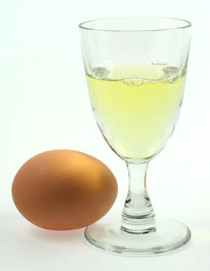 Putih Telur: Trik ampuh Dalam Lenyapkan Komedo Membandel