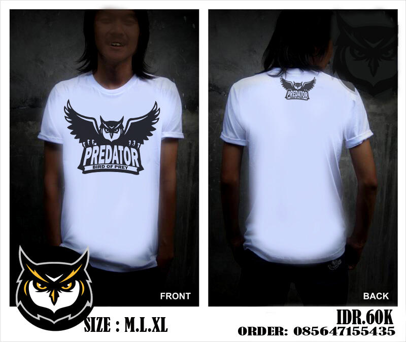 BURUNG HANTU, ELANG, ALAP ALAP