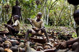 Kisah Pilu Perbudakan di Balik Kelezatan Mewah Cokelat