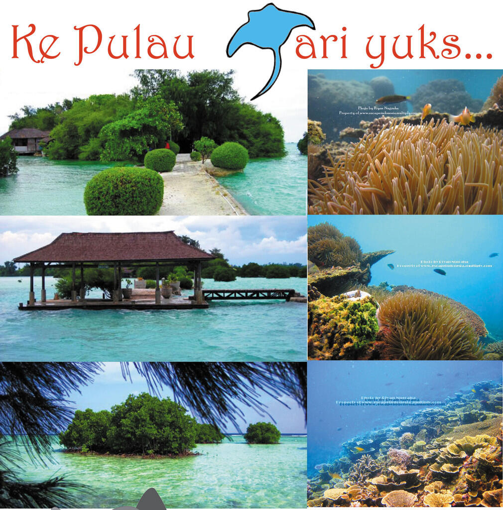 TOUR MURAH, HEMAT, KOMPLIT KE PULAU SERIBU, PULAU PRAMUKA, PARI, TIDUNG,HARAPAN