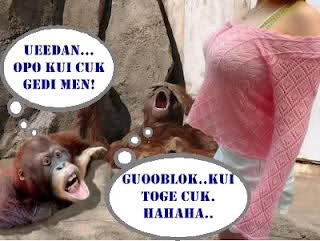 Share gambar lucu 