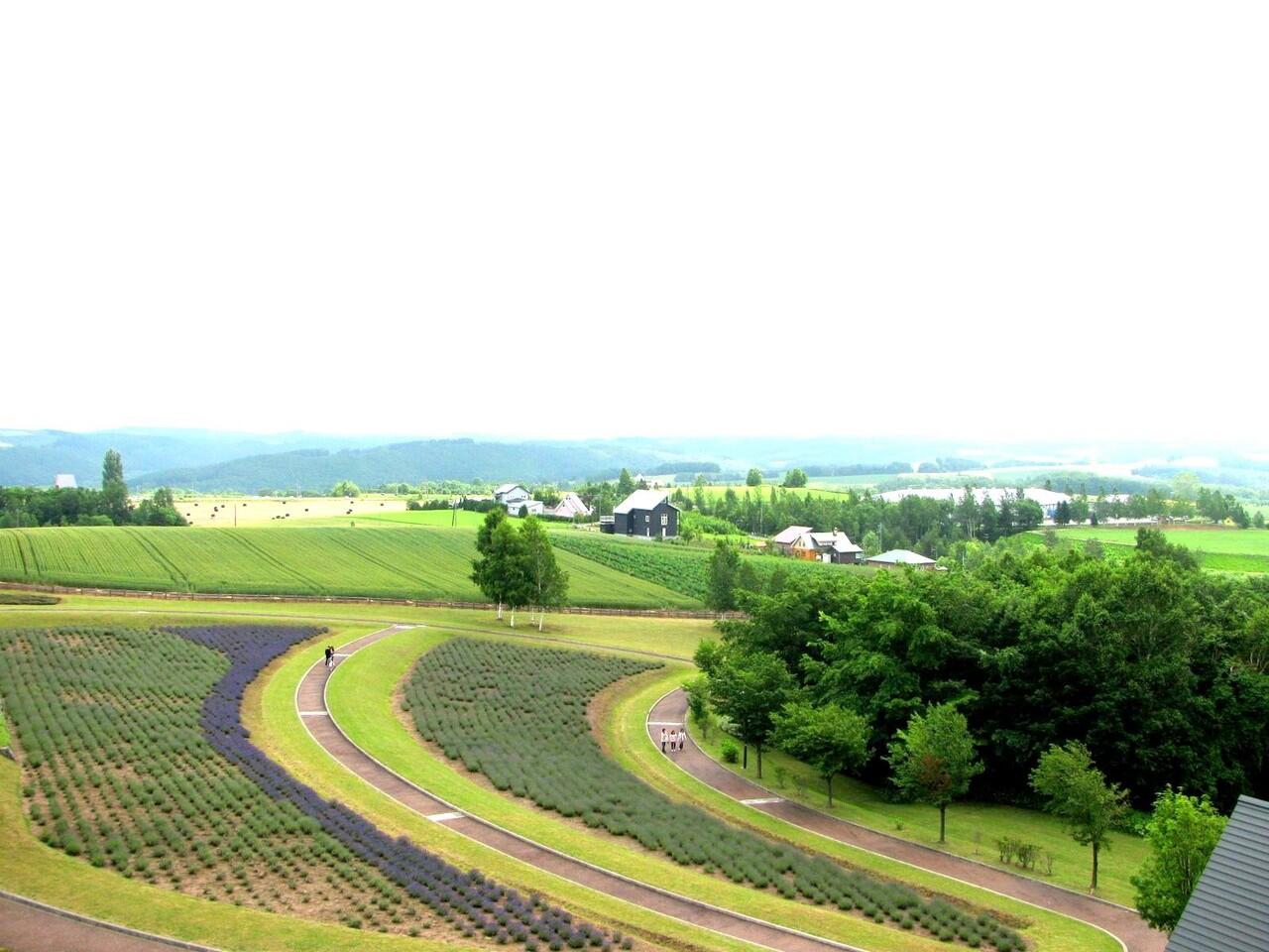 5 Tempat Wisata di Jepang yang Wajib Dikunjungi