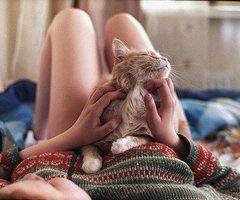 Foto Lucu Kucing dan Manusia *LoveCat