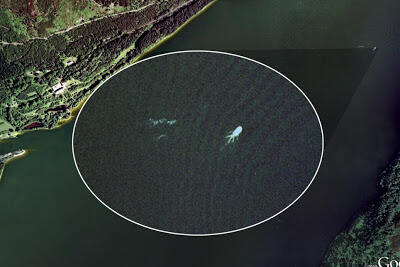 &#91;picture&#93; Monster Lochness masih hidup ini buktinya!!!