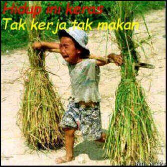 HIDUP INI KERAS KAWAN!
