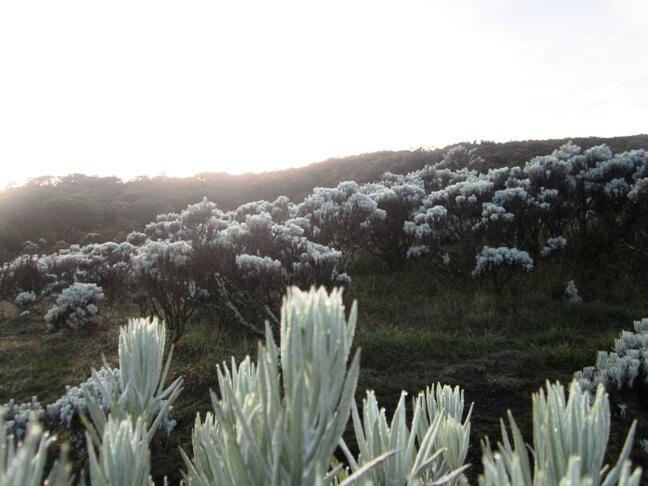(SHARE) Puisi Tentang atau Di Gunung ----> yang hobi menggunung, monggo singgah :D