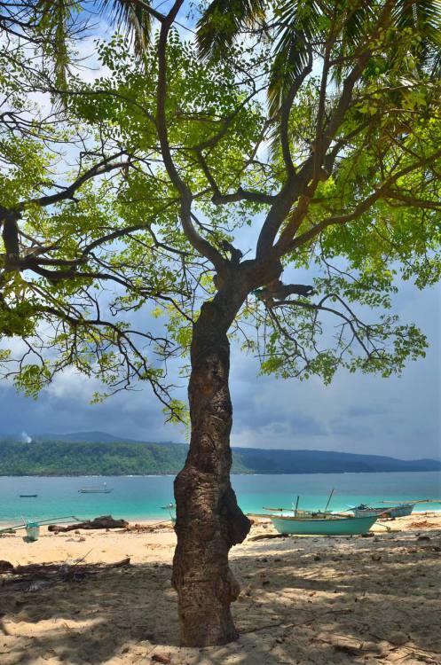 Pulau Pisang – Harta Tersembunyi di Pesisir Barat Lampung