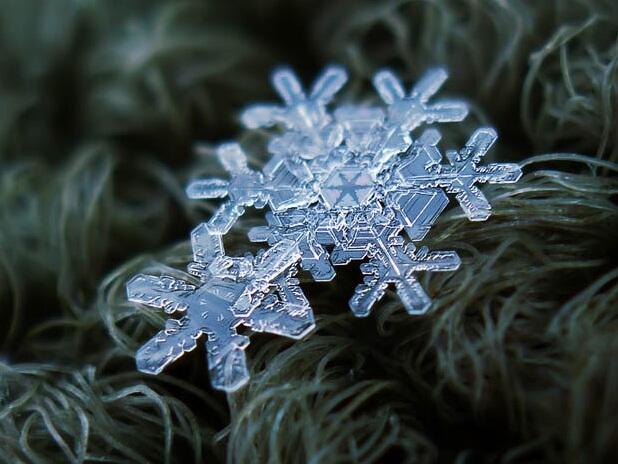 Foto macro kepingan salju yang MENAKJUBKAN!!