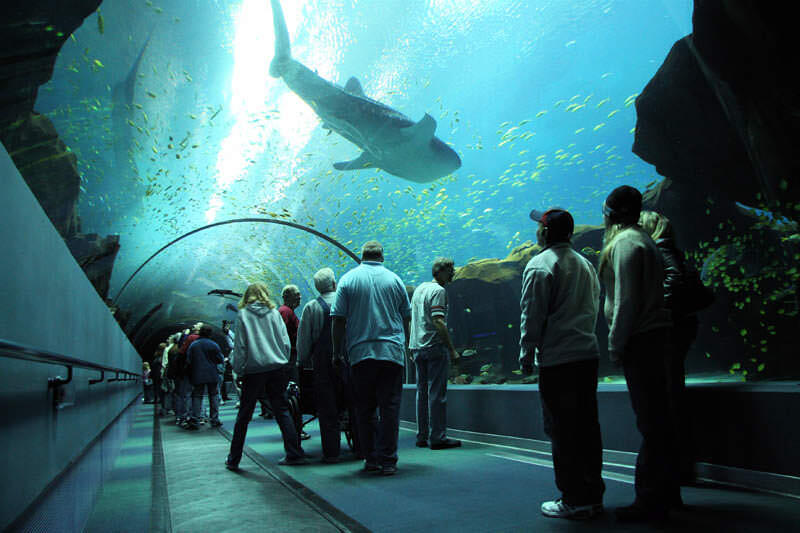 ini aquarium terbesar di dunia indah banget gan full pict