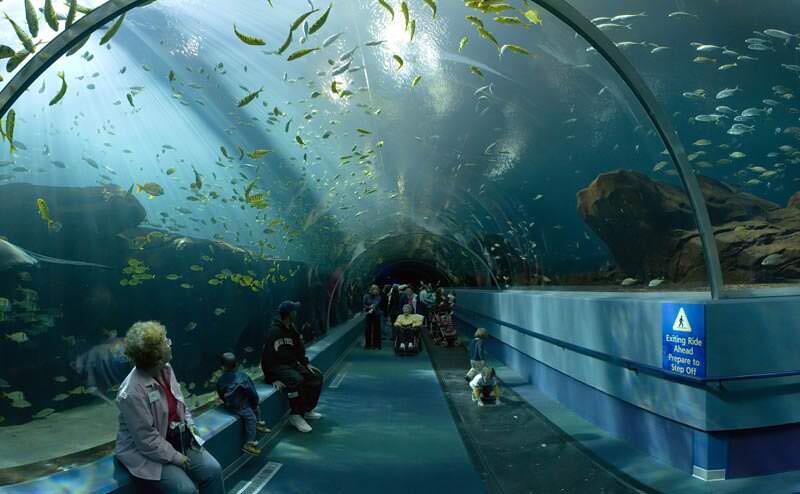 ini aquarium terbesar di dunia indah banget gan full pict