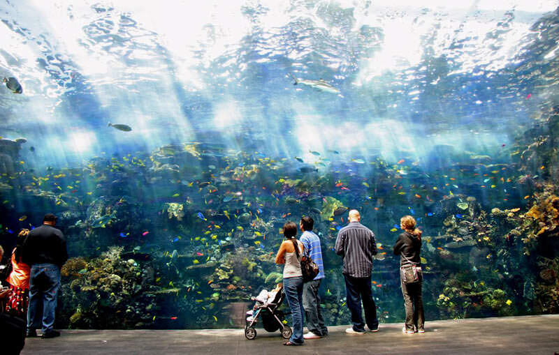 ini aquarium terbesar di dunia indah banget gan full pict