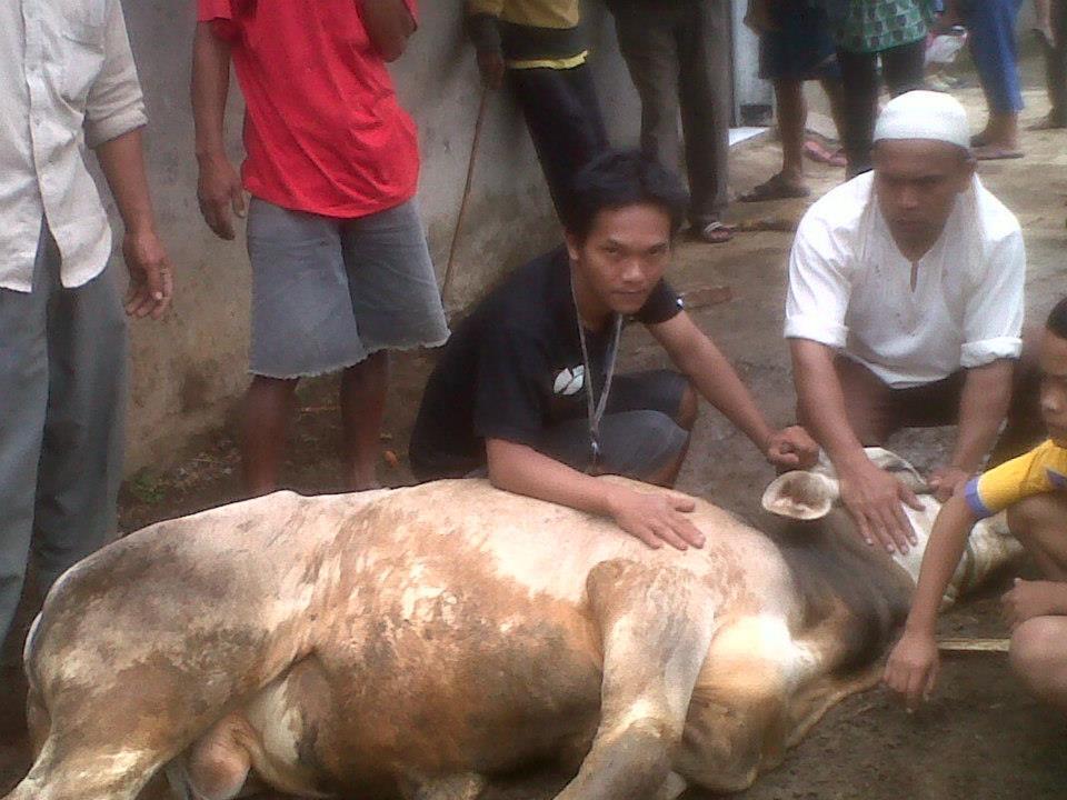 penipuan tahun 2011 sejumlah Rp 670.000.000,- Enam Ratus Tujuh Puluh Juta Rupiah