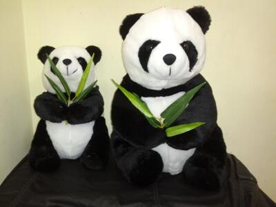 Jual Boneka Couple Hello Kitty, Teddy bear, Rilakkuma, Doraemon ( Dpinx Collection )