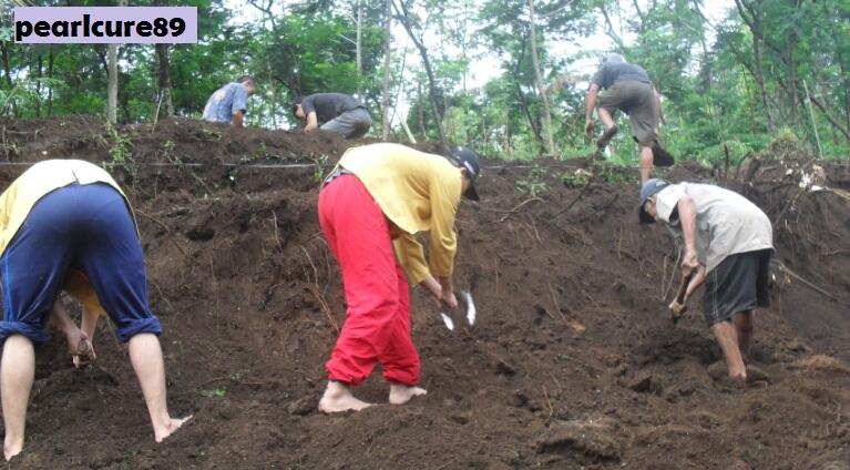 &#91;KOMPETISI AKSI BUMI&#93; Menuju Lingkungan Ber-PHBS