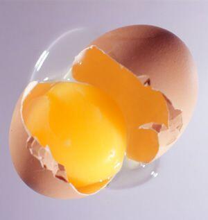 9 Fakta Mengenai Kuning Telur Yang Harus Agan Ketahui!