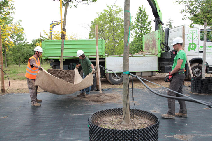 Bosco Verticale: Hutan Vertikal Pertama di Dunia