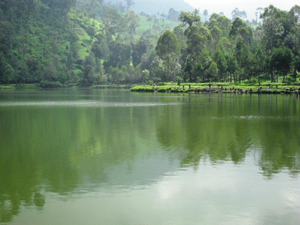 Ada Susu Segar Di Pengalengan dan Bahan Cuci Mata 