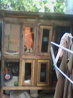 AYAM BANGKOK DEPOK