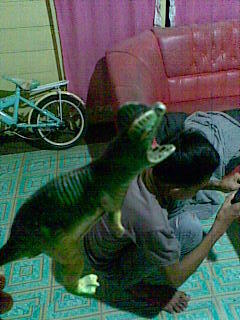 Kreatifitas tanpa batas :D