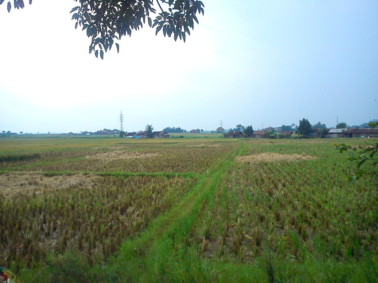JUAL CEPAT!Rumah di kab.BANDUNG