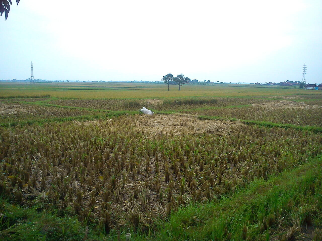 JUAL CEPAT!Rumah di kab.BANDUNG