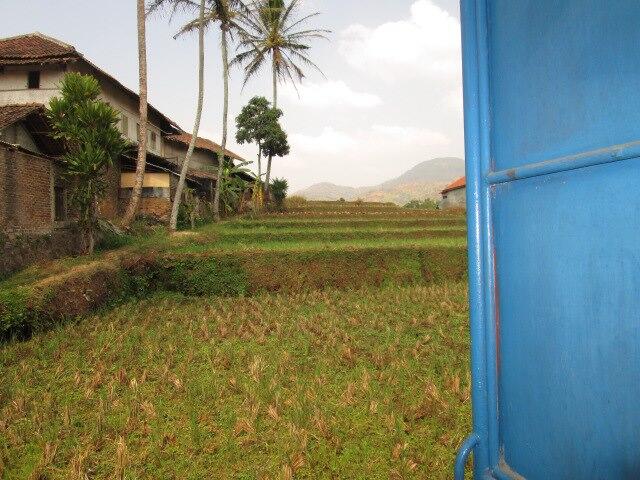 Jual Rumah Murah Cicalengka Bandung (beserta sawahnya)