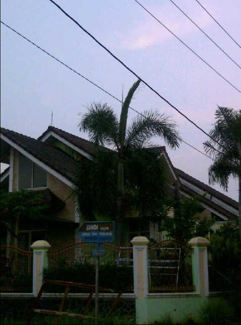 Rumah Modern di Kebun Bunga Palembang