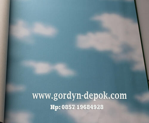 wallpaper cartoon murah