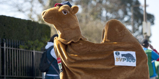 &#91;PIC&#93; Kostum-Kostum Lucu di London Marathon 2013