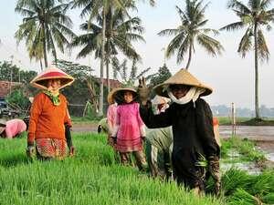 Wajah Ramah Asli Orang Indonesia di Karawang