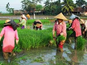 Wajah Ramah Asli Orang Indonesia di Karawang