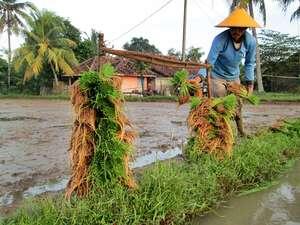 Wajah Ramah Asli Orang Indonesia di Karawang