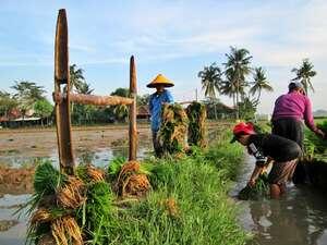 Wajah Ramah Asli Orang Indonesia di Karawang