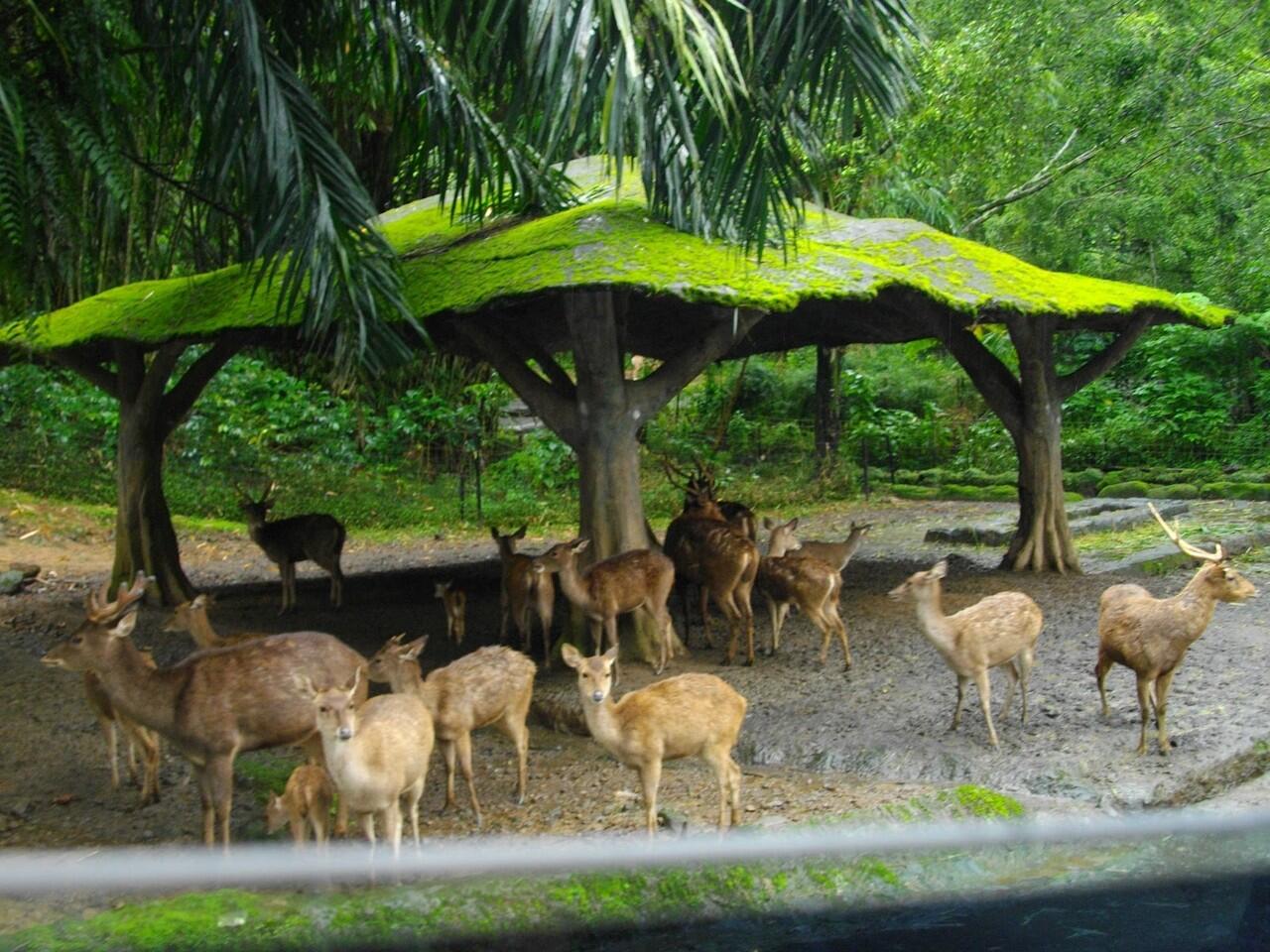 &#91;Love Indonesia&#93; Ini loh gan 5 Kebun Binatang Terbaik Di Indonesia 