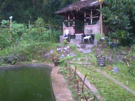 Dijual rumah MINIMALIS di TAMANSARI Bogor (A56)