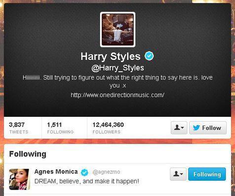 Harry Styles follow twitter Agnes Monica