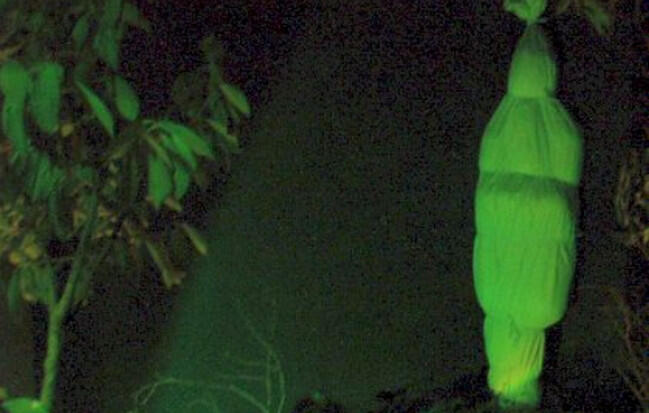 13 Hantu Versi Jawa dan Sekitarnya