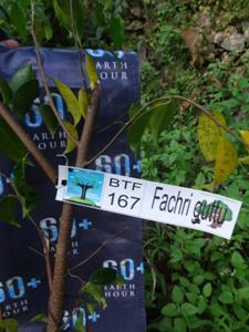 &#91;FR&#93; Adopsi pohon &quot;Baby Tree Friend&quot; Forum Greenlifestyle