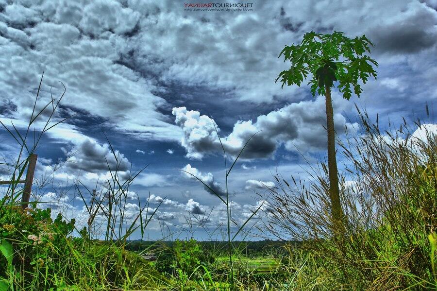 Gallery Foto Nubie &#91;Tourniquet Gallery&#93; minta masukannya gan